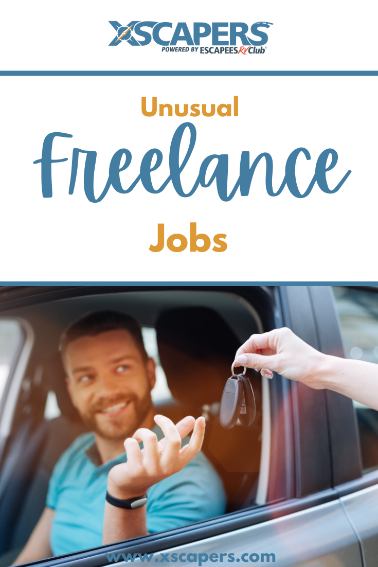 Unusual Freelance Jobs 12